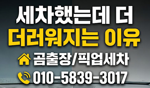 도장면 손상 없는 세차를 위해 곰출장 픽업세차 디테일링이 제안하는 안양출장세차 가이드