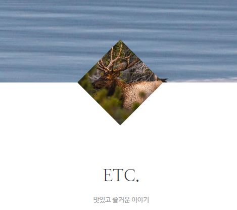 태상의 미니샵이 일상 정보를 기록하는 라이프스타일 공간인 이유
